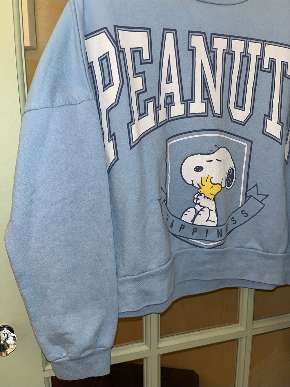 Peanuts Light Blue Crewneck Sweatshirt with Snoopy Graphic - Picture 5 of 10